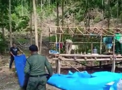 Dirikan Markas, Sekelompok Orang di Sultra Illegal Logging Saat Pandemi