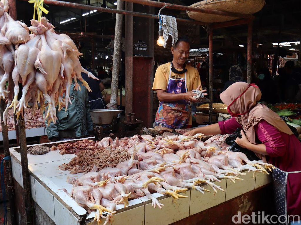 Daging dan Telur Ayam Bikin Inflasi Juni 0,18% Daging dan Telur Ayam Bikin Inflasi Juni 0,18%
