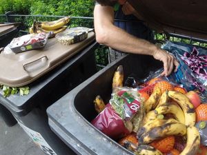 Terjebak di Maldives, Dokter Ini Makan Dari Tempat Sampah