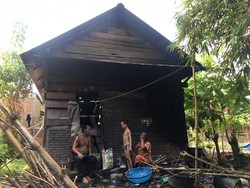 Miris Pasutri dan 3 Anak di Polman Hidup Bareng Ayam di Rumah Bekas Kandang