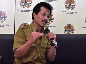 KLHK Sebut Tren Deforestasi Indonesia Cenderung Stabil