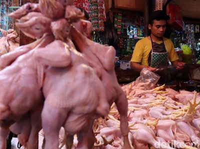 Penjualan Daging Ayam dan Sapi Masih Eksis