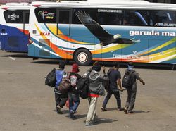 Larangan Mudik Bikin Permintaan Pangan di Jabodetabek Meningkat