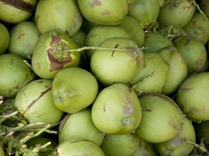 7 Manfaat Air Kelapa Muda Bagi Kesehatan Tubuh