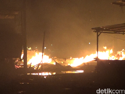 Pabrik Pengolahan Kayu Sengon di Lumajang Ludes Terbakar