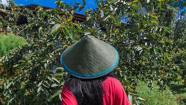 Cara Melepas Rindu Liburan ala Netizen Saat Corona: Follow Me to... Home