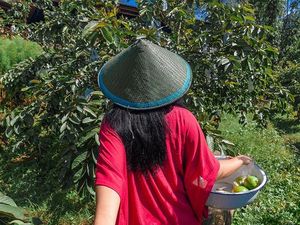 Cara Melepas Rindu Liburan ala Netizen Saat Corona: Follow Me to... Home Cara Melepas Rindu Liburan ala Netizen Saat Corona: Follow Me to... Home