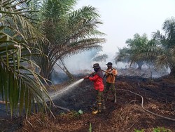 Puncak Kemarau Diprediksi Juni, KLHK Siap Antisipasi Karhutla