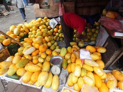 Fakta Menarik Timun Suri yang Hanya Muncul Saat Ramadhan