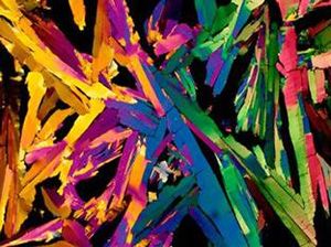 Penampakan Super Keren Kapur sampai Jus Jeruk di Bawah Mikroskop