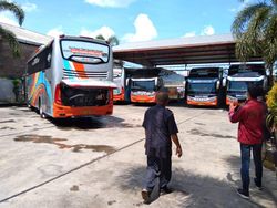 Perusahaan Otobus di Jember Tak Berangkatkan Armada Dampak Larangan Mudik