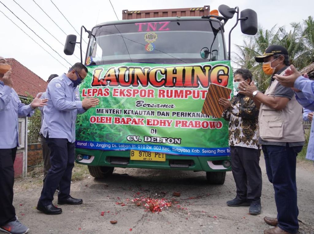 Edhy Prabowo Lepas Ekspor 53,5 Ton Rumput Laut Spinosium ke Vietnam