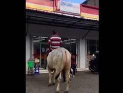 Nyeleneh! Pria di Magetan ke Minimarket dengan Tunggangi Sapi