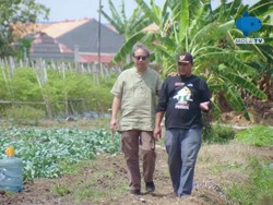 Mantan Buruh Serabutan Berbagi Tips Jadi Petani Sayur yang Sukses