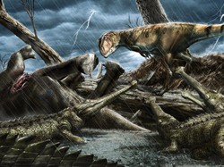 LAPAN: Kepunahan Dinosaurus Akibat Hantaman Asteroid Lebih Logis