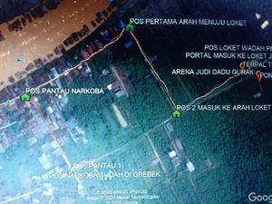 Isi Kampung Narkoba ala Kolombia di Kalteng Sebelum Dibakar Polisi