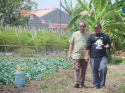 Modal Jujur! Mantan Penjudi Ini Bisa Sukses Jadi Petani Kota
