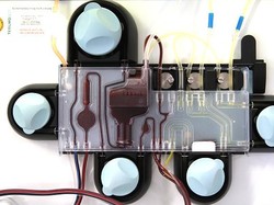 Plasma Darah Jadi Solusi Penyembuhan Covid-19