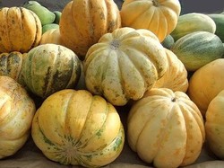 Jadi Menu Buka Puasa Favorit, Ini Tips Memilih dan Resep Blewah