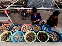 Heboh Kereta Kim Jong Un Di Wonsan, Kota Ini Terkenal Punya Seafood Enak