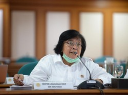 Gelar e-Learning, KLHK Optimalkan Ekonomi Petani Selama Pandemi