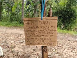 Tak Kunjung Diperbaiki, Warga Cianjur Tanam Pohon Pisang di Jalan Rusak