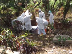 Satu Lagi PDP Corona Meninggal di Pasuruan, Hasil Rapid Test Reaktif