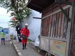 Jangan Lengah! Saat Pandemi Corona Ini 145 Warga Kulon Progo Kena DBD