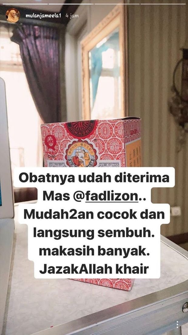 Instagram Story Mulan Jameela