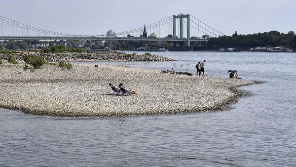 Bersantai Sejenak di Sungai yang Mengering di Jerman
