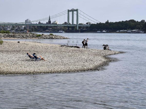 Bersantai Sejenak di Sungai yang Mengering di Jerman