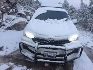 Seberapa Banyak Avanza Buatan Indonesia Dikirim ke Luar Negeri?