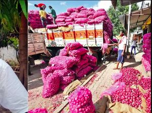Niat! Demi Bisa Mudik, Pria Ini Beli Puluhan Ribu Kg Bawang dan Nyamar Jadi Pedagang