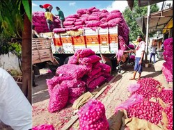 Niat! Demi Bisa Mudik, Pria Ini Beli Puluhan Ribu Kg Bawang dan Nyamar Jadi Pedagang