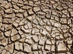 Lebih Ngeri dari Corona, Kondisi Bumi 50 Tahun Lagi Diprediksi Tak Layak Huni