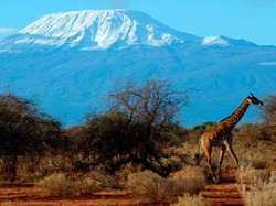 Menjelajah buat Amal Malah Ditipu di Gunung Kilimanjaro
