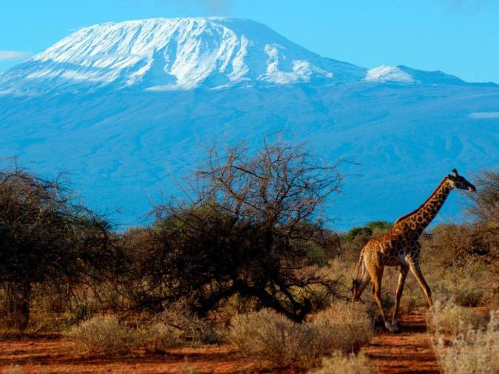 7 Gunung Tertinggi di Dunia dan Keistimewaannya 7 Gunung Tertinggi di Dunia dan Keistimewaannya