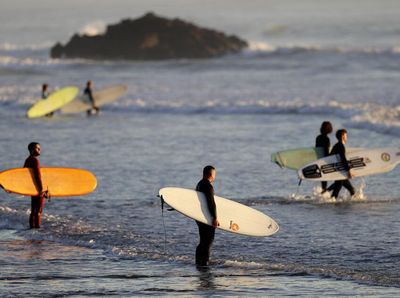 Kembali Ramai, Begini Geliat Aktivitas di Pantai Selandia Baru