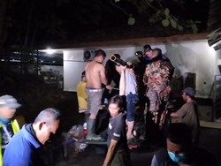 Lari ke Kebun Warga, Beruang Madu yang Lepas di Yogya Dibius