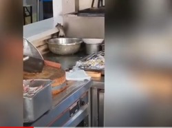 Hi..! Kantin Rumah Sakit di China Dipenuhi Tikus yang Pesta Pora