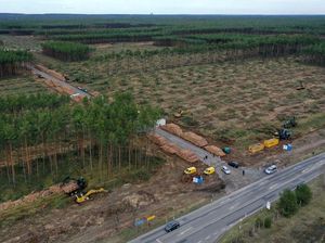 Tesla Babat Hutan untuk Pabrik Baru di Jerman Tesla Babat Hutan untuk Pabrik Baru di Jerman