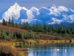 Nahas! Pendaki Jepang Jatuh Terkubur Jurang Es di Gunung Denali Nahas! Pendaki Jepang Jatuh Terkubur Jurang Es di Gunung Denali