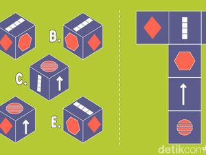 Tebakan Jaring-jaring Kubus, Buktikan Puasa Tak Bikin Hilang Fokus Tebakan Jaring-jaring Kubus, Buktikan Puasa Tak Bikin Hilang Fokus