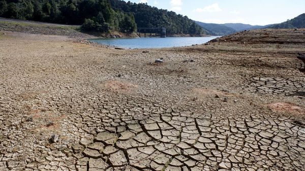 Begini Potret Krisis Air di Auckland Selandia Baru