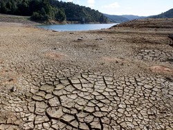 RI Bisa Kehilangan 40% PDB Gara-gara Krisis Iklim, Pemerintah Bisa Apa?