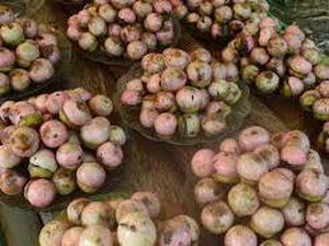 Makanan dan Kebudayaan Khas Kalimantan Selatan, Apa Sih?