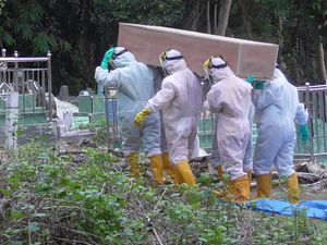 Seorang PDP di Polman Sulbar Meninggal, Pemakaman Sempat Tertunda