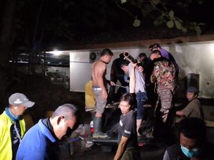 2 Beruang Madu Sempat Lepas di Yogya, Ini Kata Pengelola Kandang