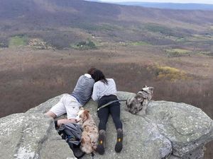 Ada-ada Saja, Pria Ini Lamar Kekasihnya saat Mendaki Gunung