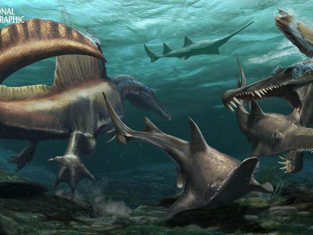 Misteri Apakah Dinosaurus Bisa Berenang Terpecahkan Misteri Apakah Dinosaurus Bisa Berenang Terpecahkan